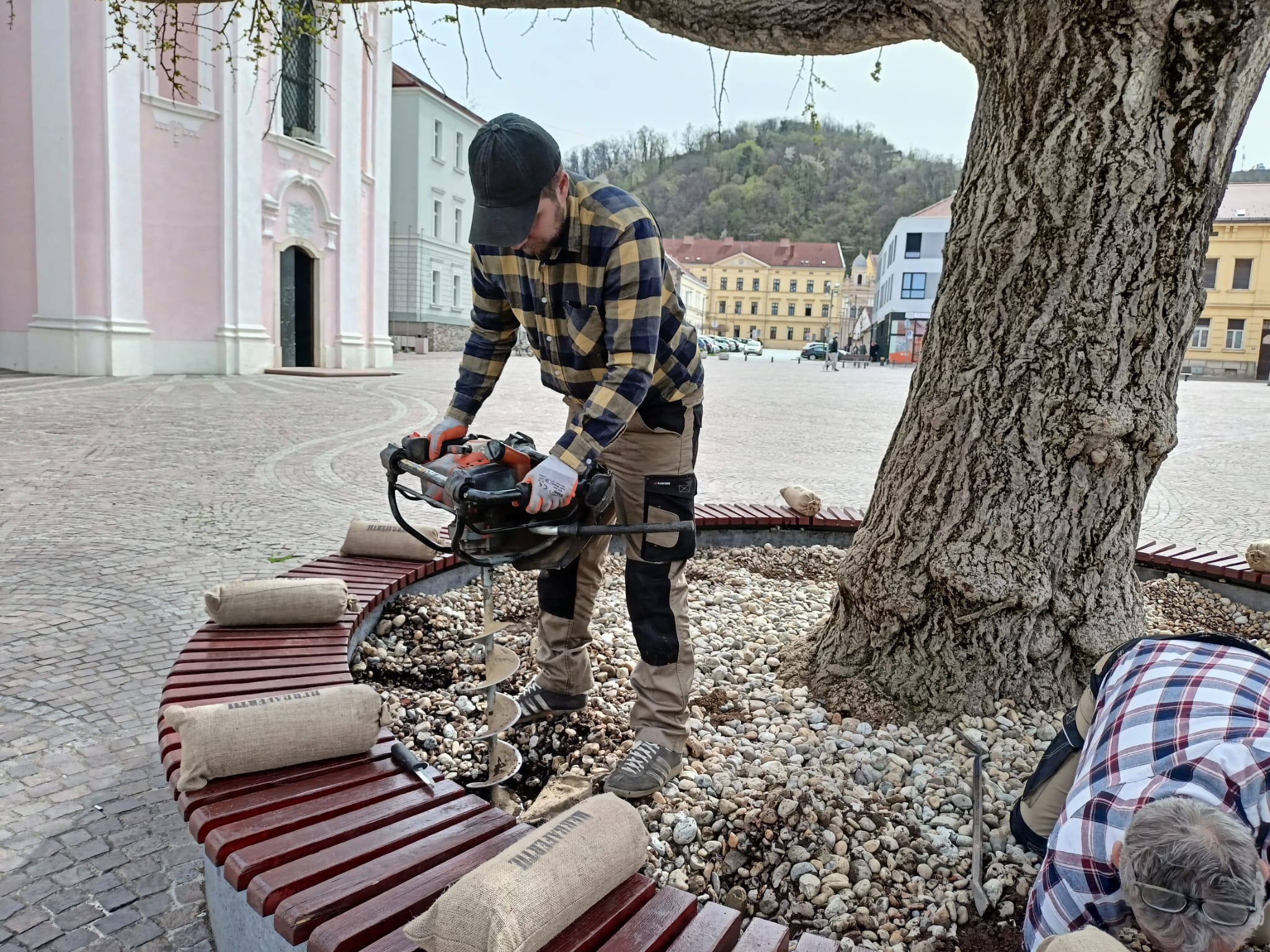 Spašavanje stoljetne Malolisne lipe i revitalizacija Ginka 