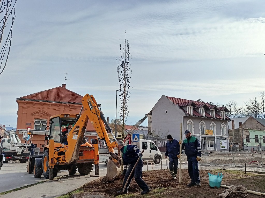 Započela sadnja stabala u Ulici dr. Franje Tuđmana