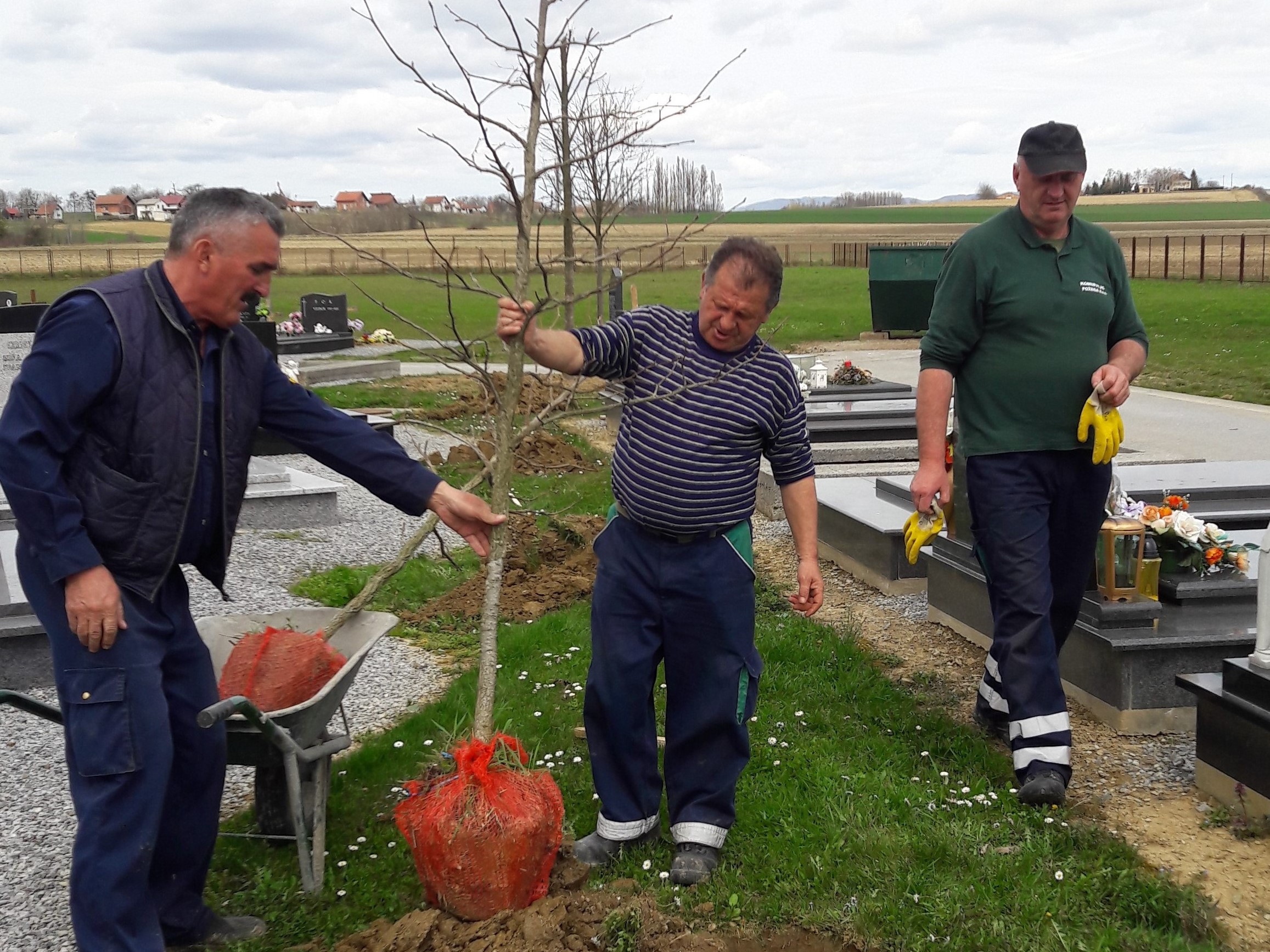 Uređuju se zelene površine u gradu i obnavlja zelenilo na Groblju Krista Kralja