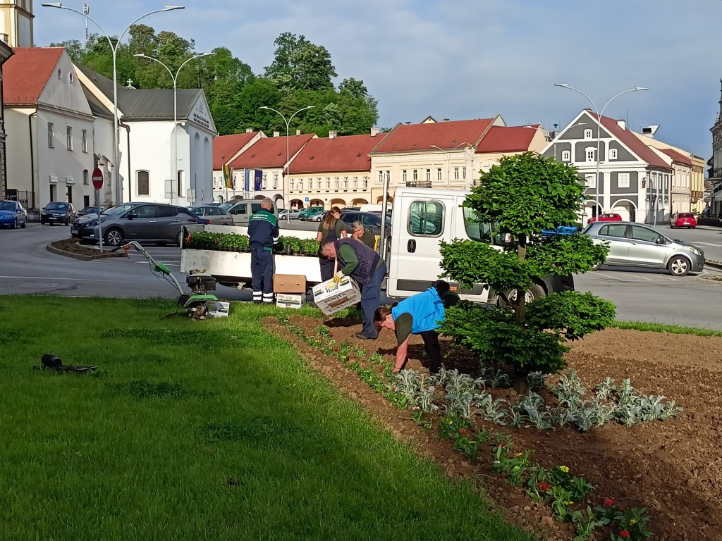 Vrijeme je za ljetnice: Započela sadnja cvijeća na gradskim zelenim površinama