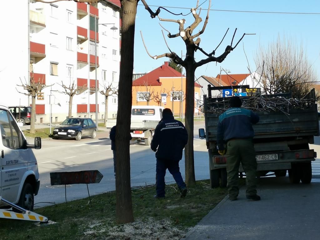 Djelatnici Komunalca orezuju drveće; dolaskom proljeća kreće uređenje cvjetnih gredica