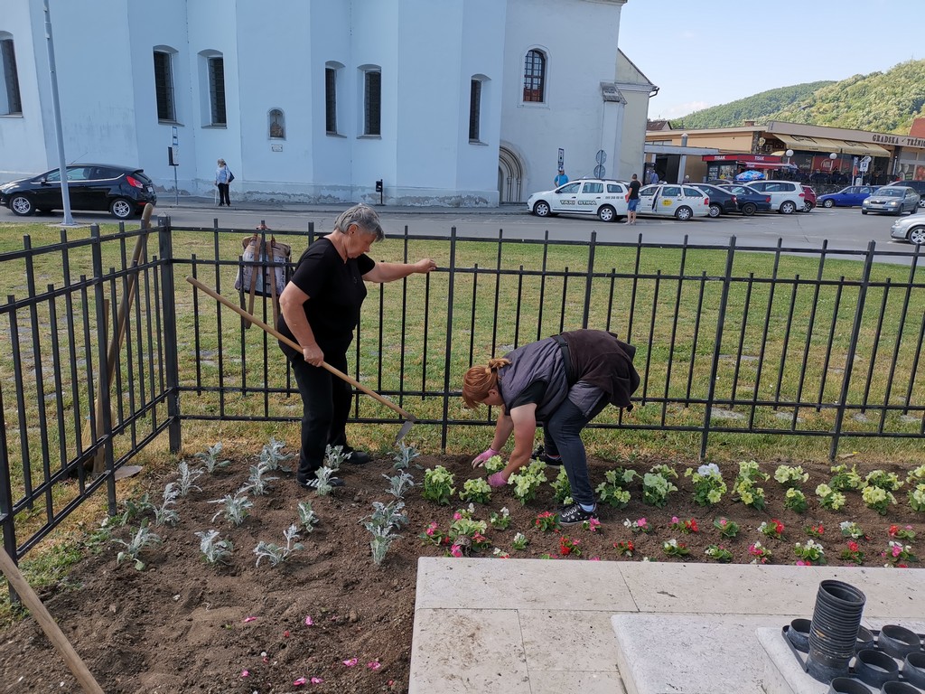 Započela sadnja ljetnica na požeškim zelenim površinama