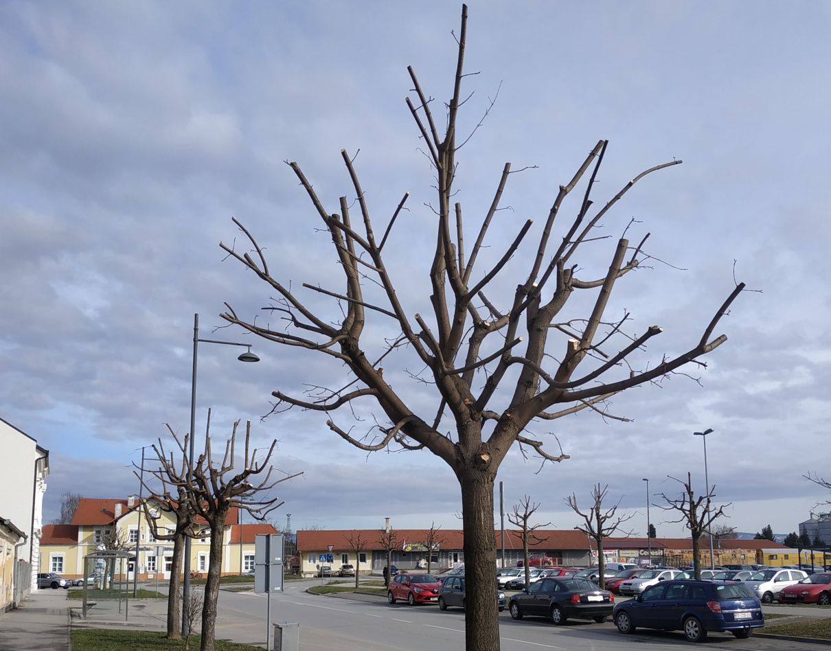 orezivanje njemacka ulica 1