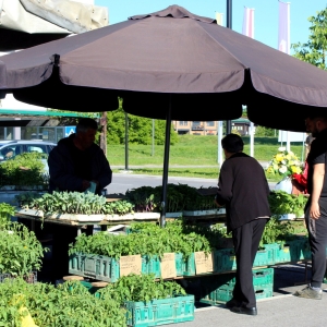 Trznica_PONUDA 14.5.26 (4)