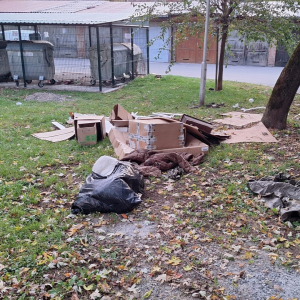 Nepravilno odbačen otpad (2)